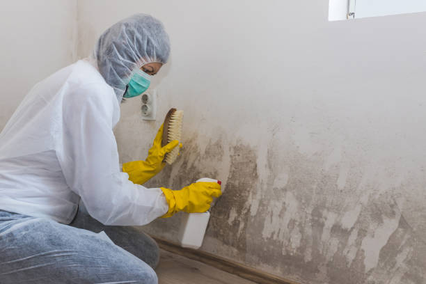 Best Water Damage Restoration  in Trinity, NC