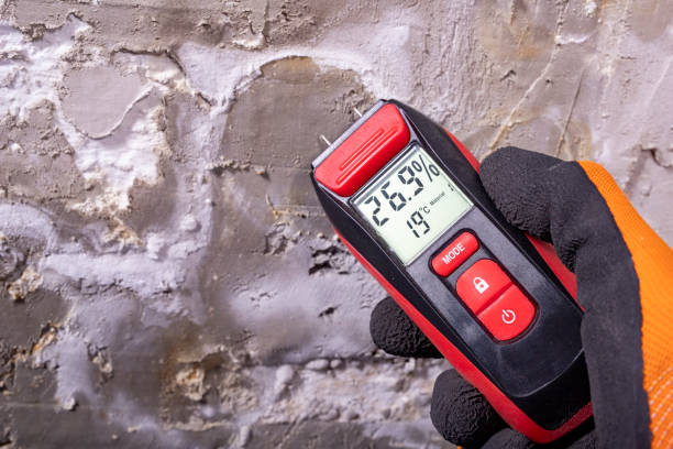 Best Office Mold Removal Services  in Trinity, NC