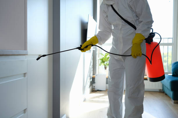 Home Mold Removal in Trinity, NC