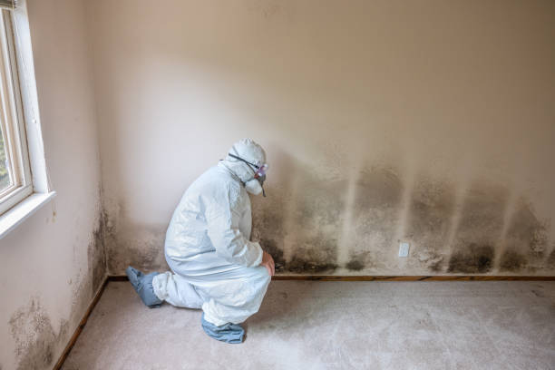 Water Damage Restoration in Trinity, NC